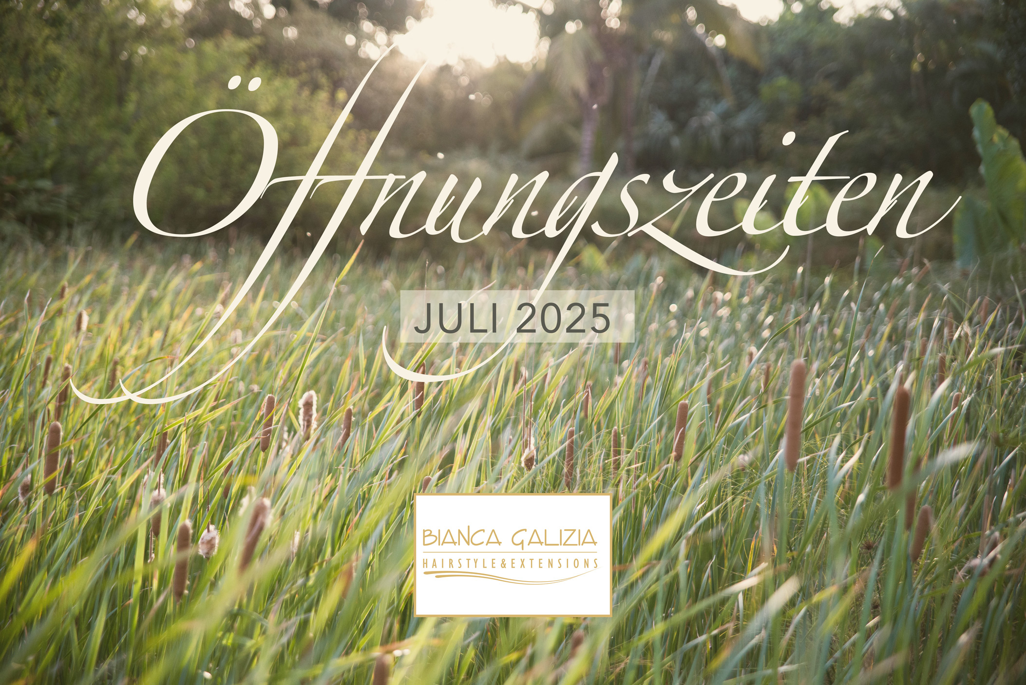 Information Oeffnungszeiten Juli 2025
